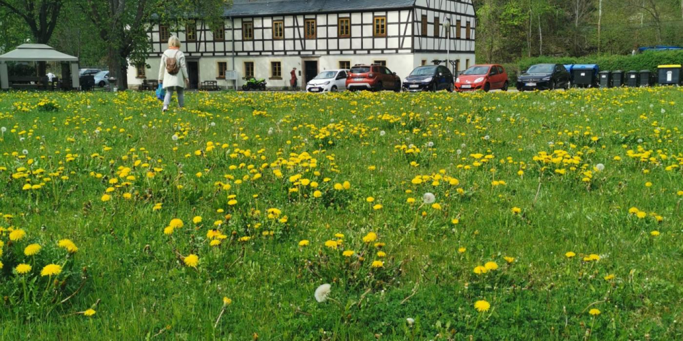 Ferienapartment in Thermalbad Wiesenbad