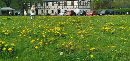 Ferienapartment in Thermalbad Wiesenbad