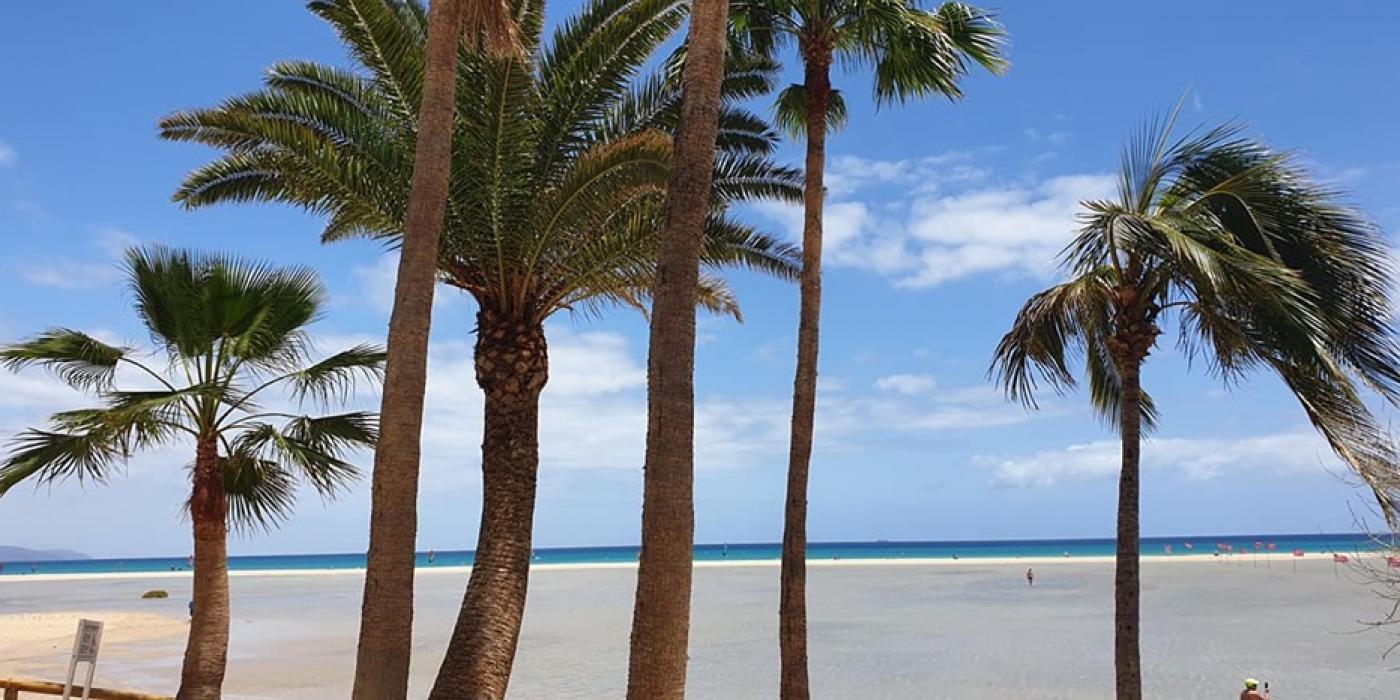 FW. auf Fuerteventura/Costa Calma 