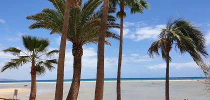 FW. auf Fuerteventura/Costa Calma 