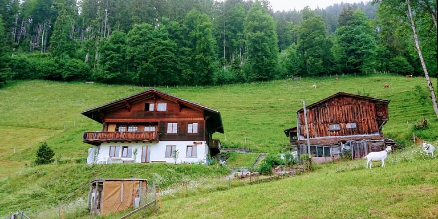 Känzeli